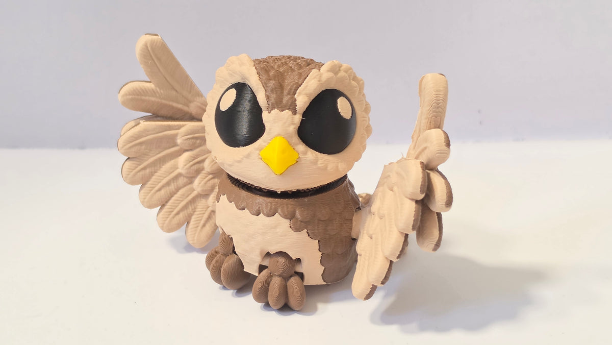 Owl