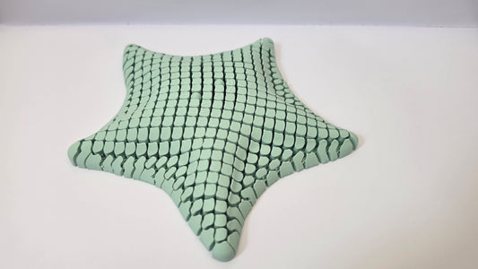 Mint starfish mesh