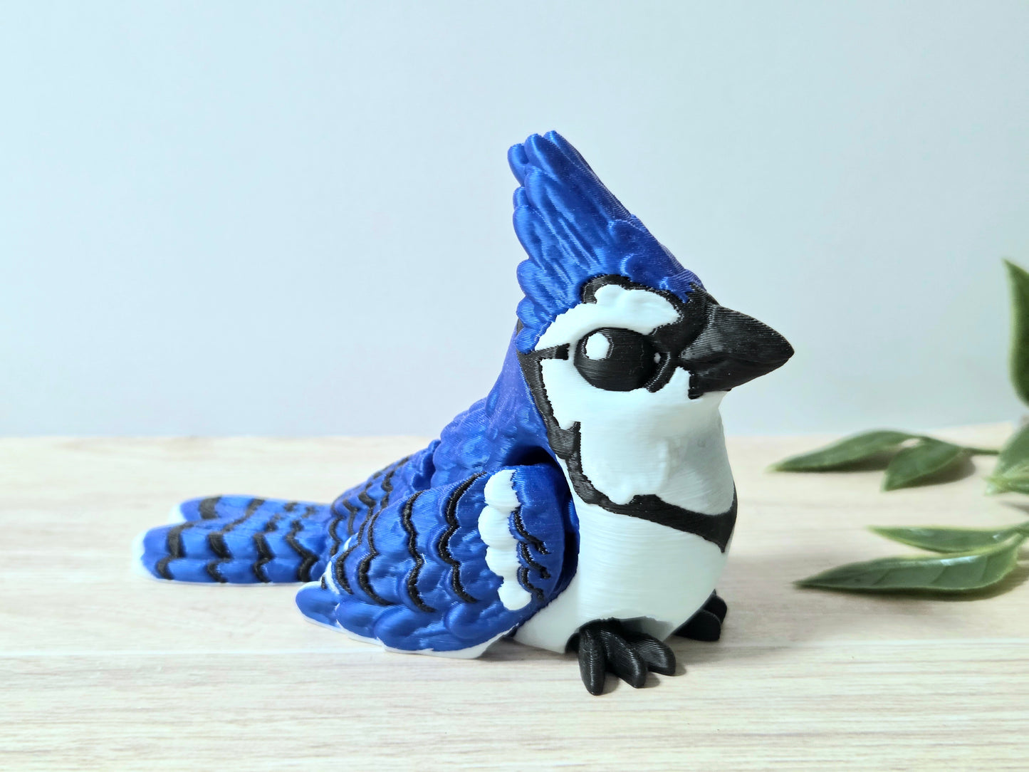 Blue Jay
