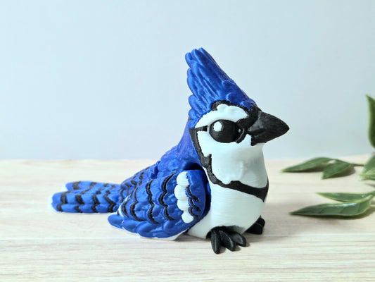 Blue Jay