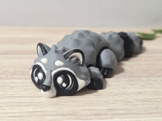 Racoon
