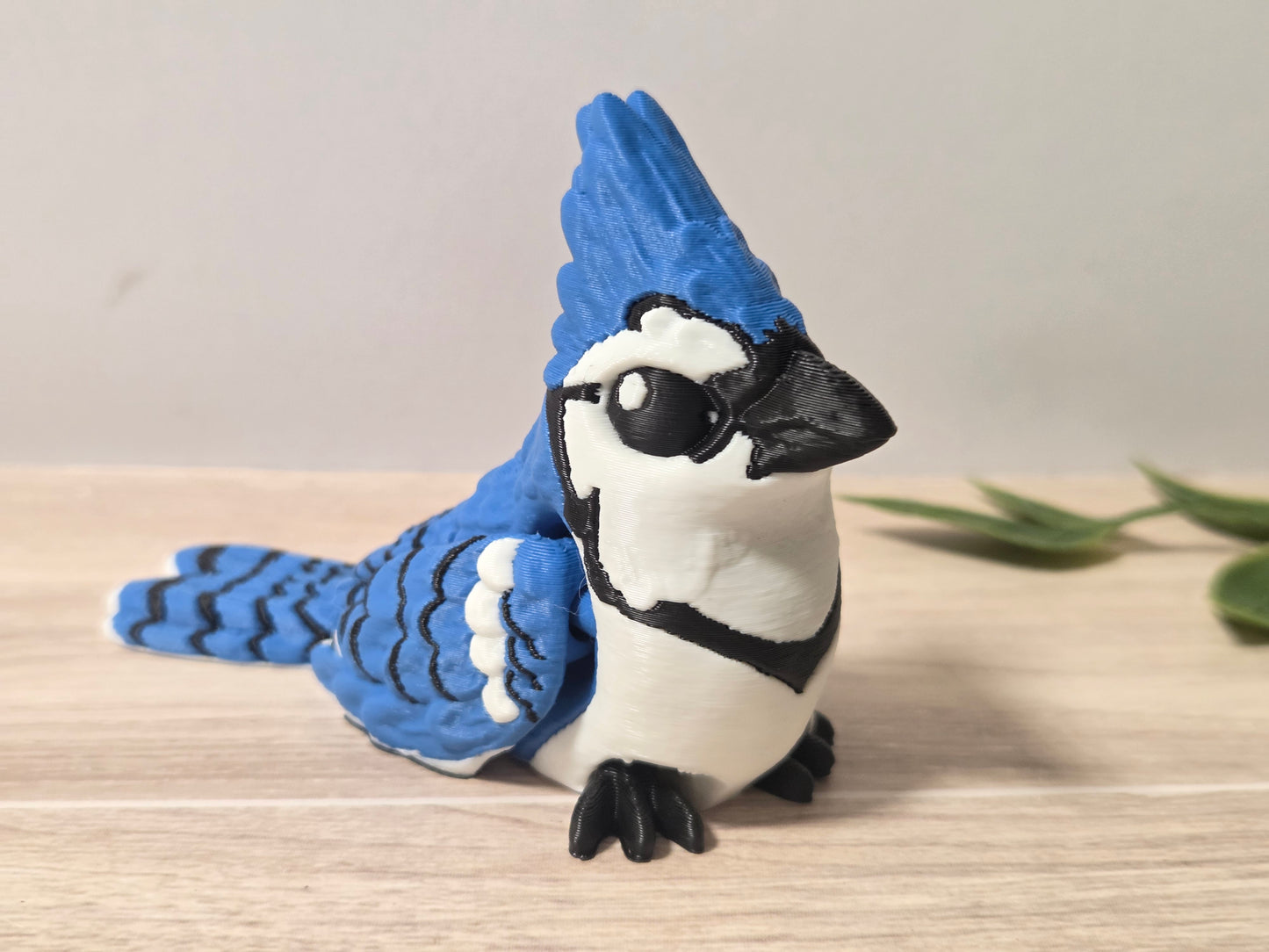 Blue jay