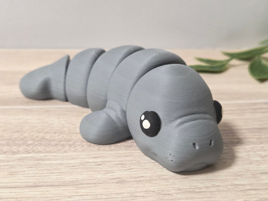 Baby manatee