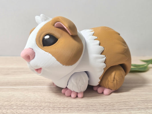 Guinea Pig