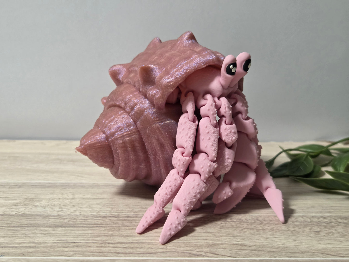 pink hermit crab