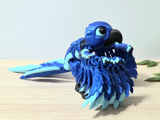 Blue Macaw