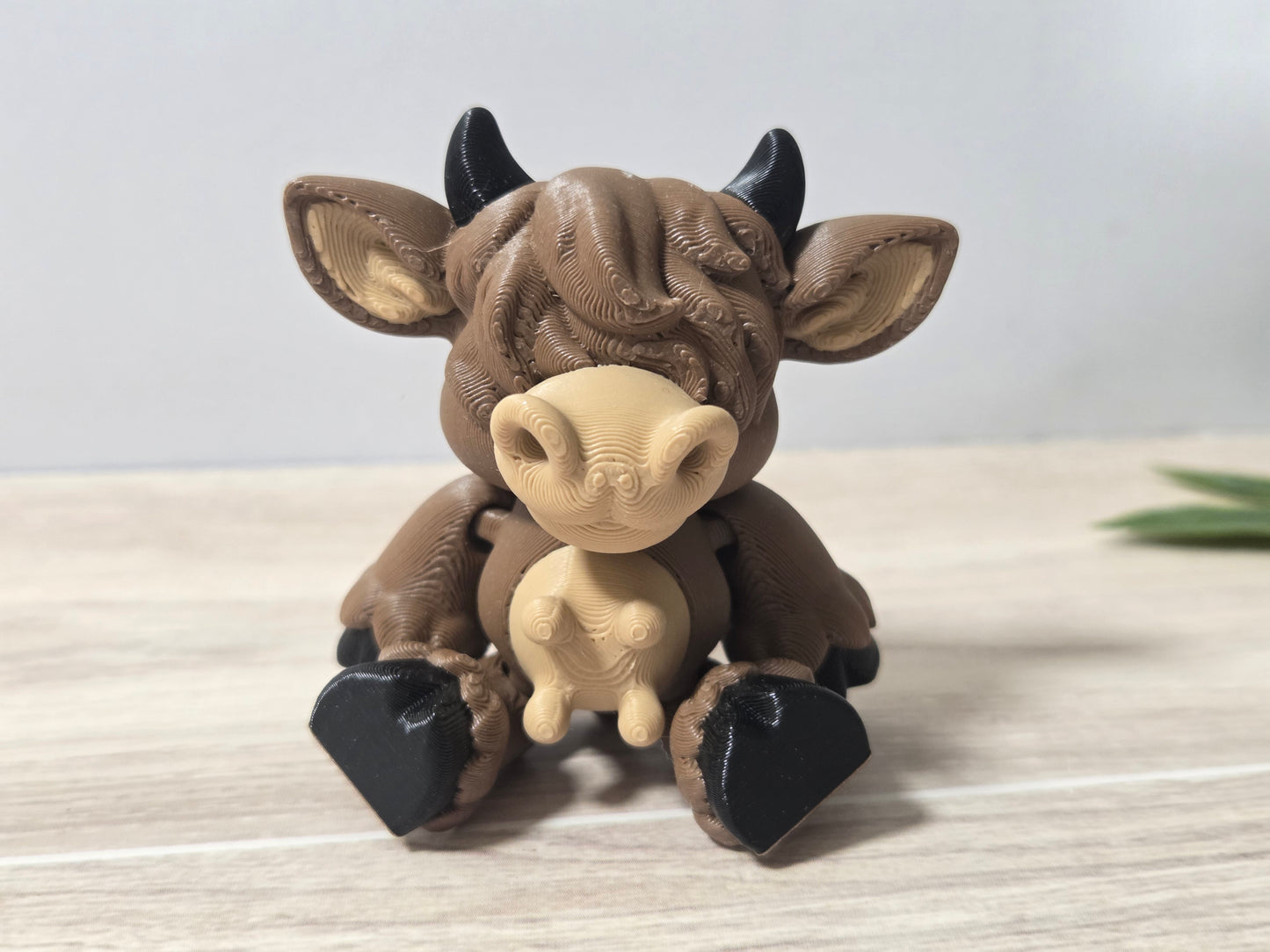 Sitting Highland Cow