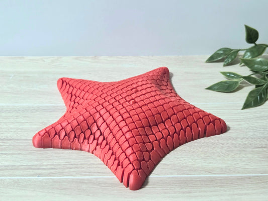 Mesh red starfish