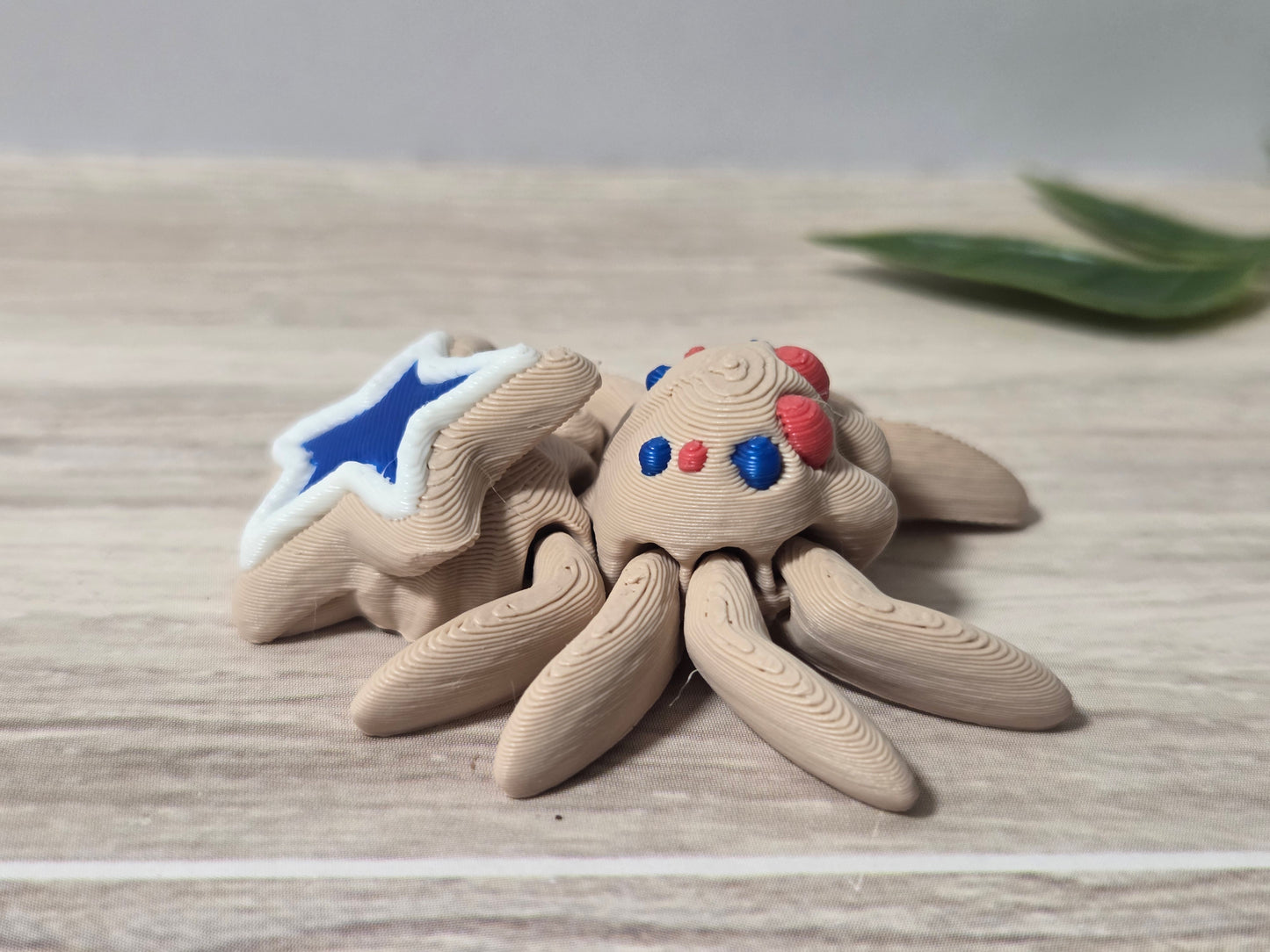 RWB cookie spider