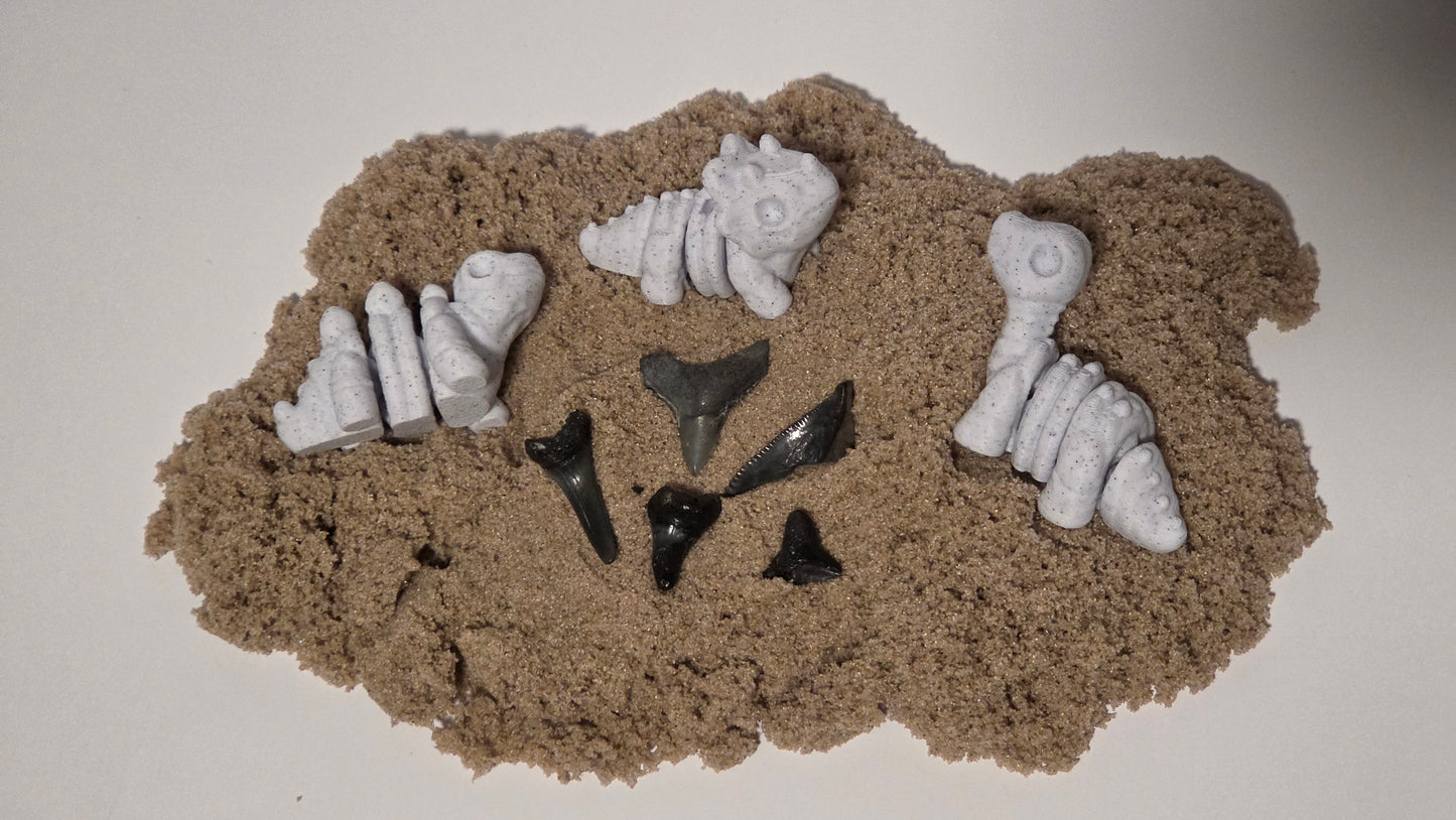 Fossil Dig Kit