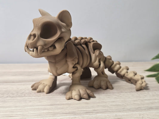 Cat Skelly