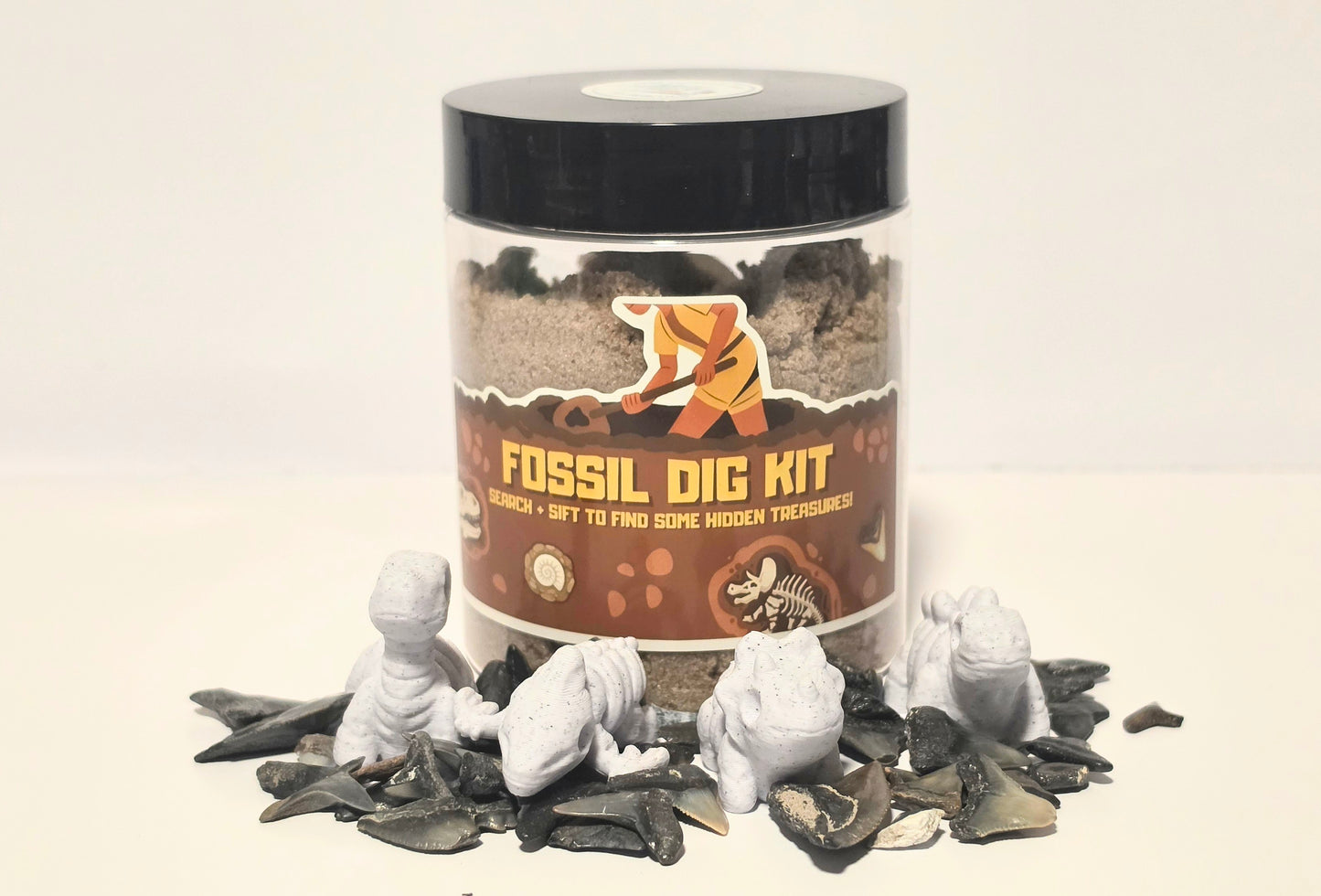 Fossil Dig Kit
