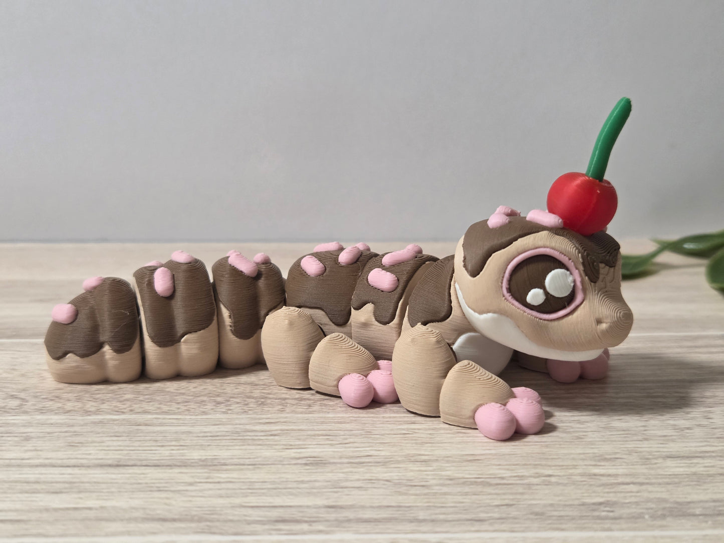 Cupcake gecko