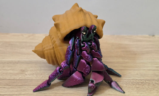 Dark hermit crab