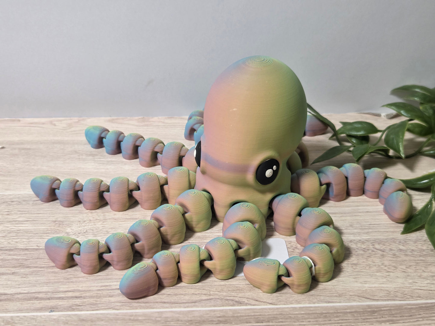 Rainbow octopus