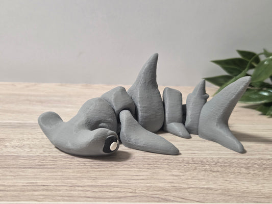 Gray hammerhead
