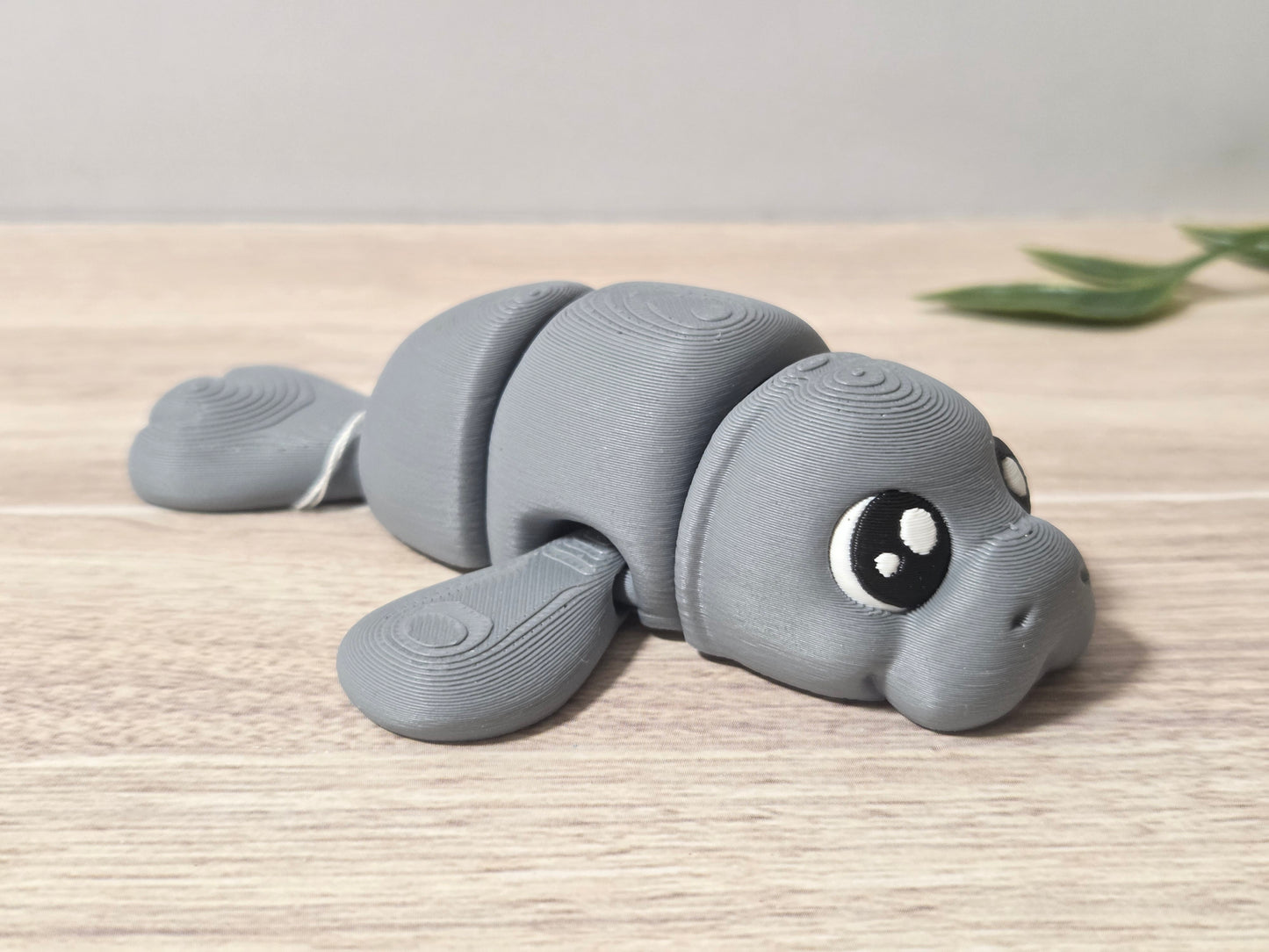 Cute Manatee
