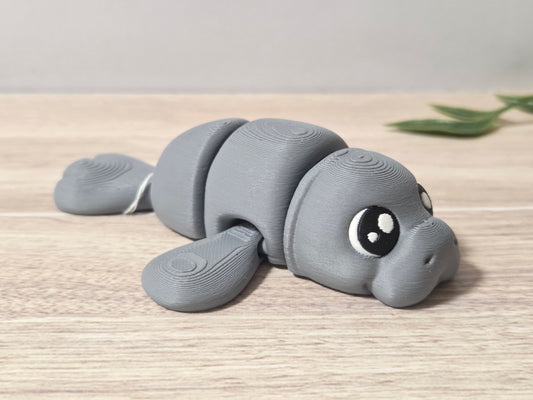 Cute Manatee