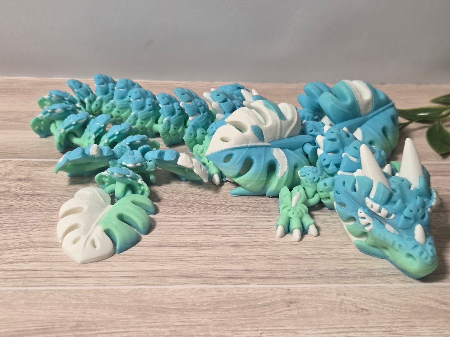 Monstera Dragon