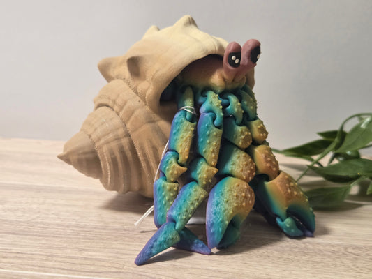 Rainbow hermit crab