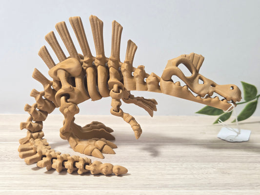 Tan spino skelly