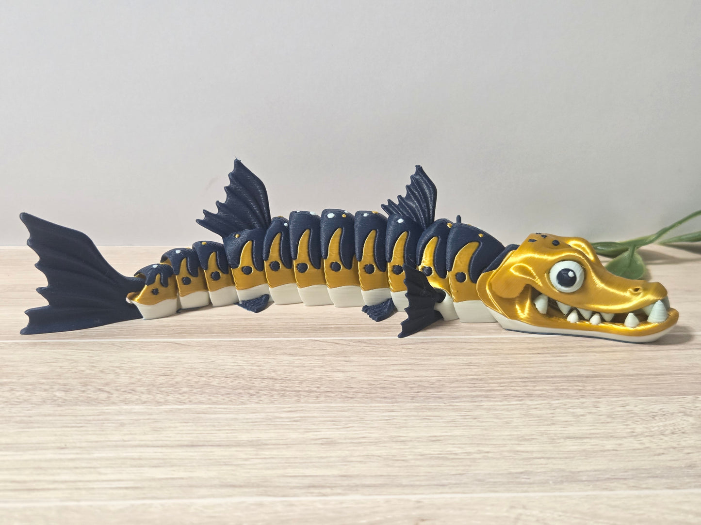 Barracuda