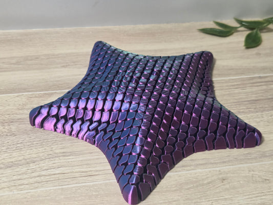 Mesh RBG starfish