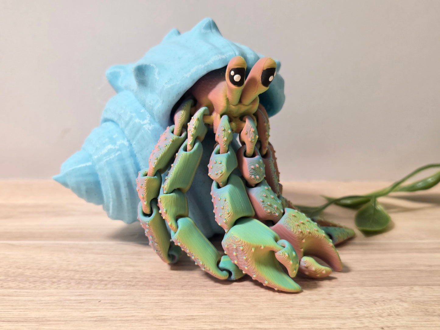 Tie dye Hermit Crab