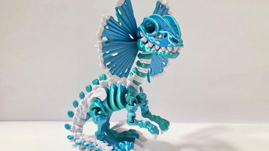 Blue skelly Dilophosaurus