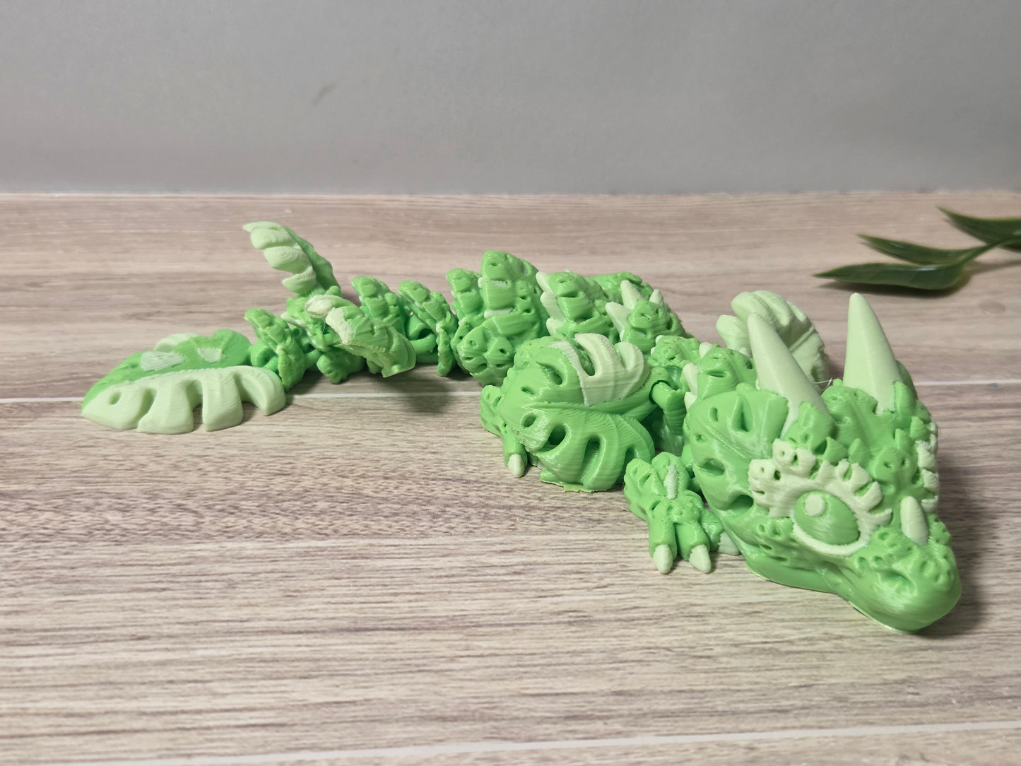 Baby Monstera Dragon