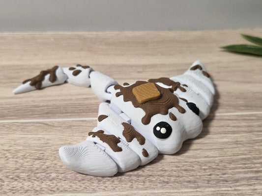 Smore ray