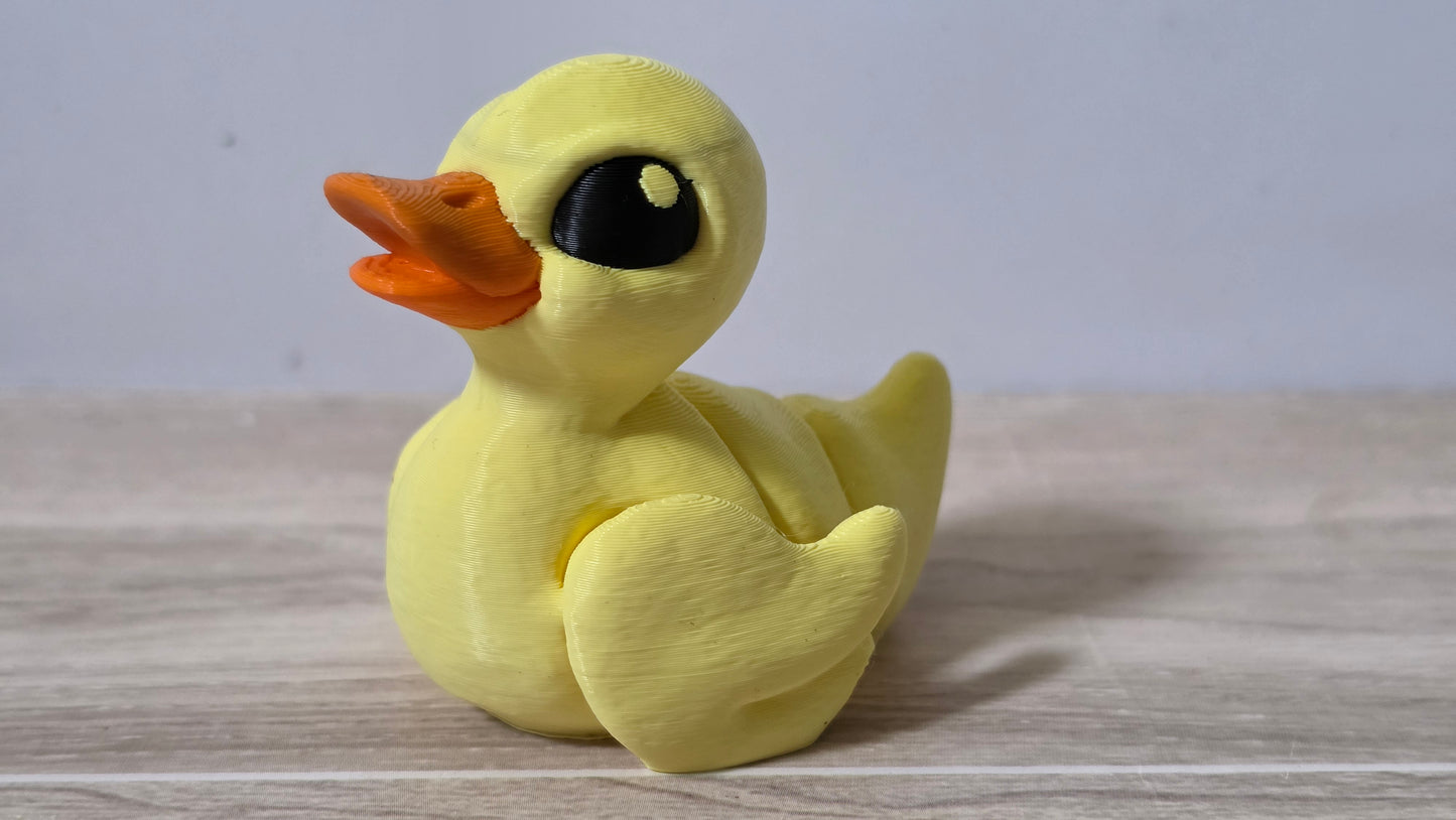 Duck