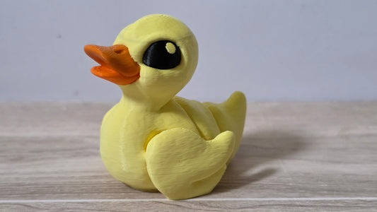 Duck