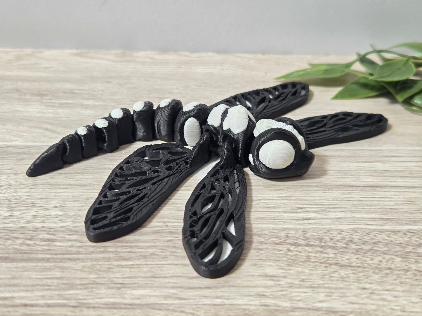 Black Dragonfly