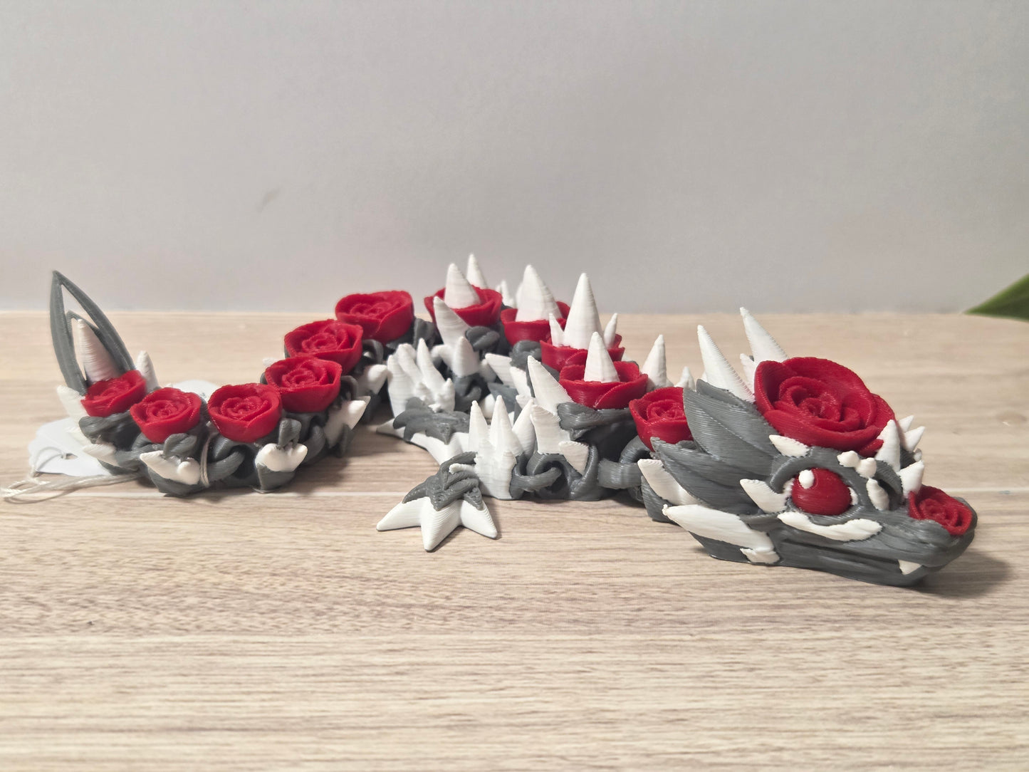 Baby gray rose dragon