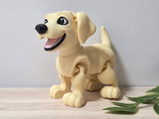 Yellow lab