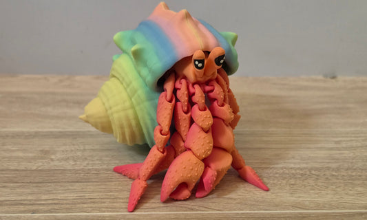 Rainbow Hermit Crab