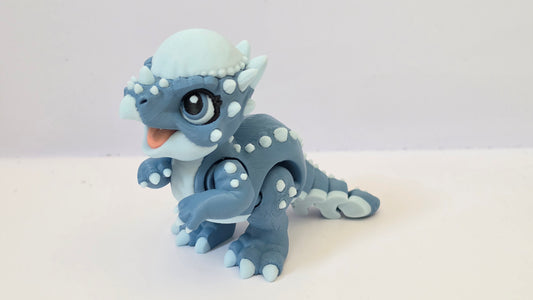 Blue pachy