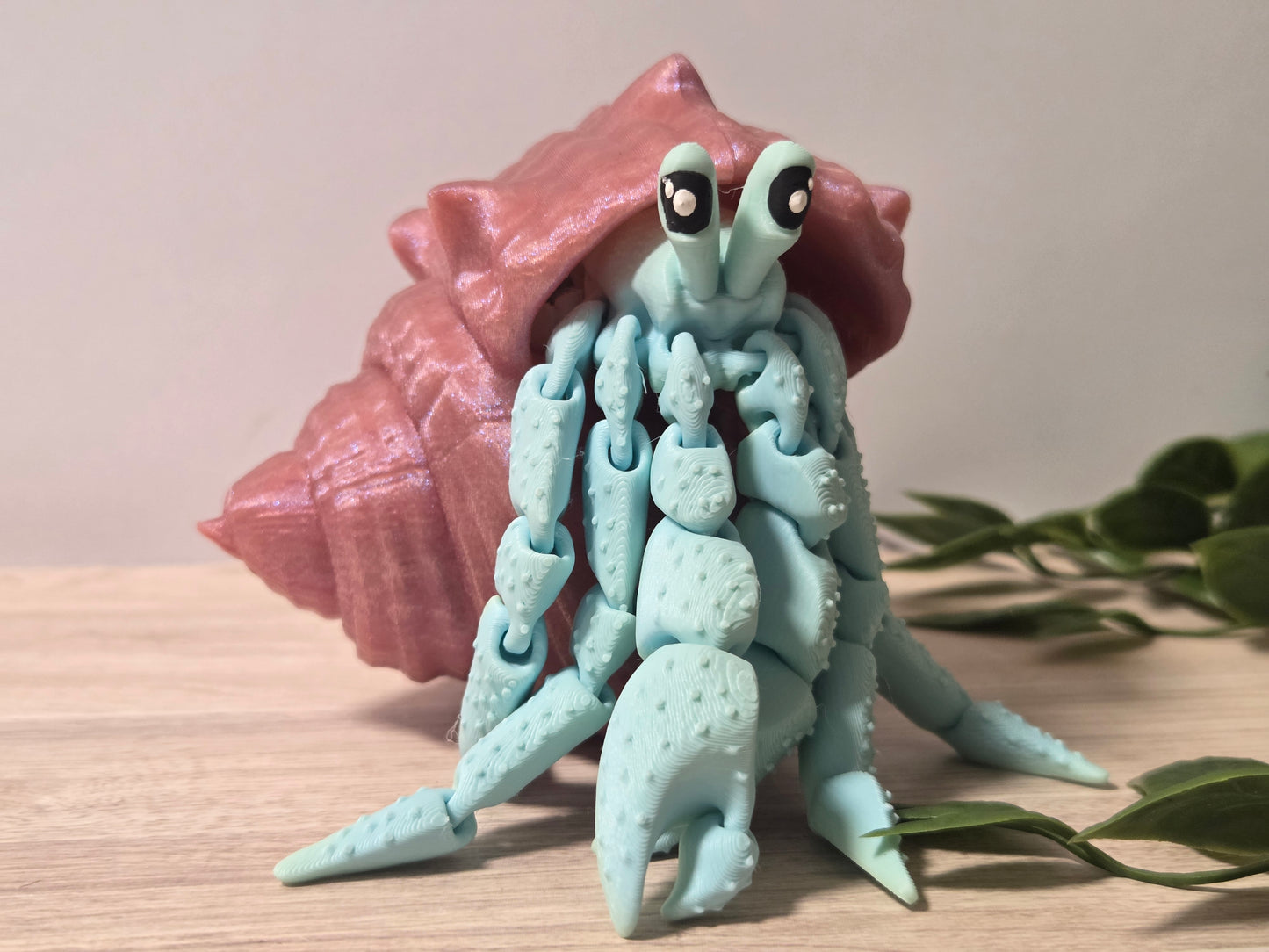 Pink blue hermit crab