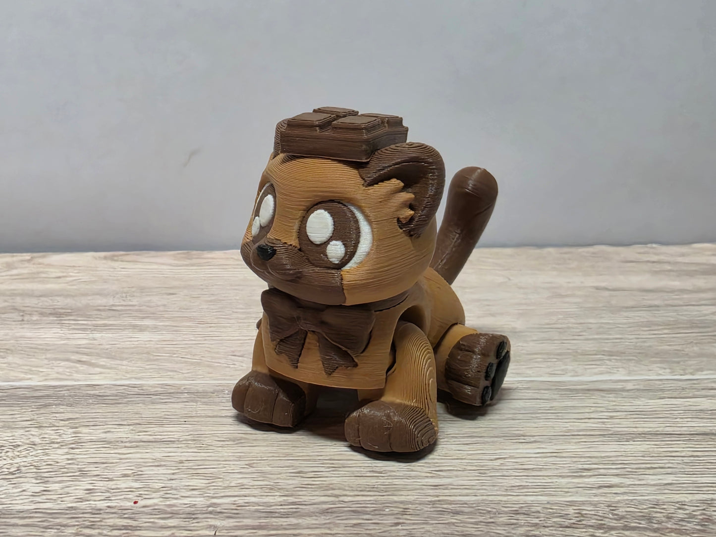 Chocolate cat