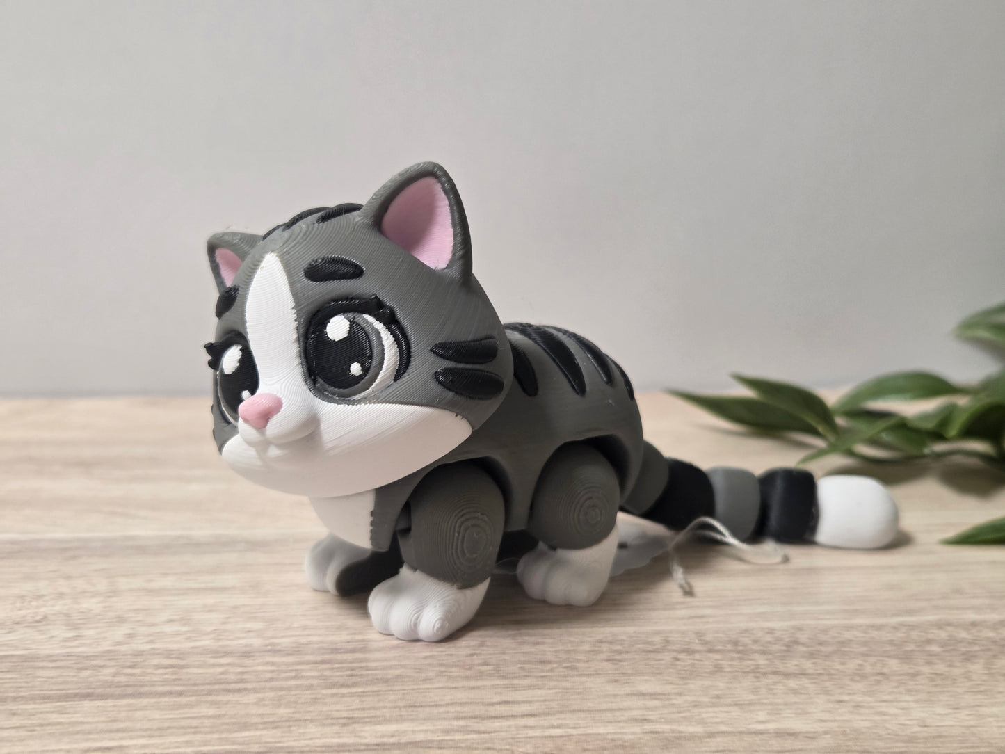 Gray cat