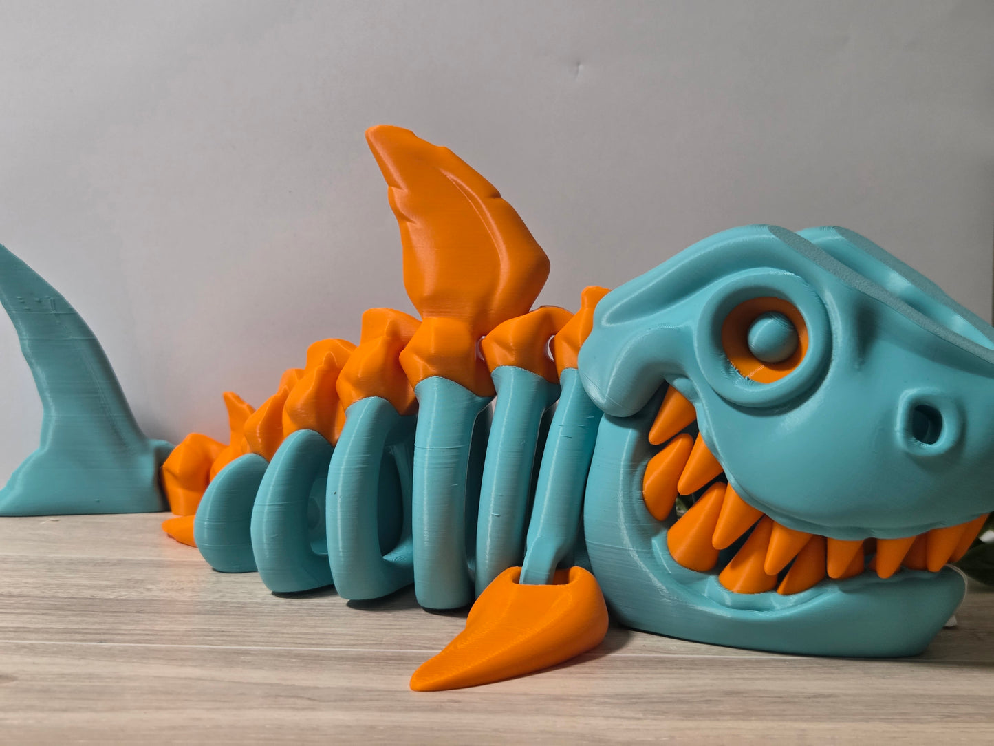 Orange teal shark skelly