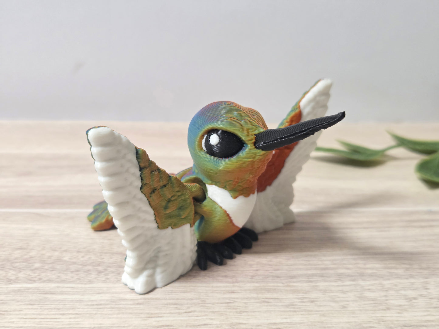 Tricolor hummingbird