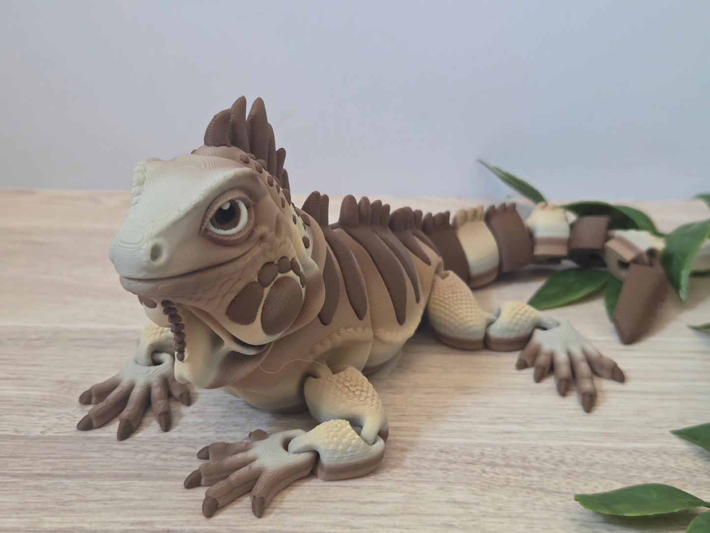 Iguana