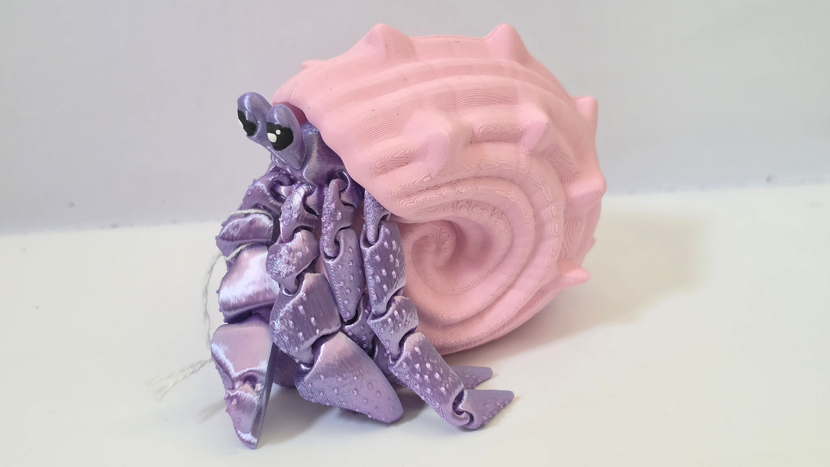 Pink hermit crab