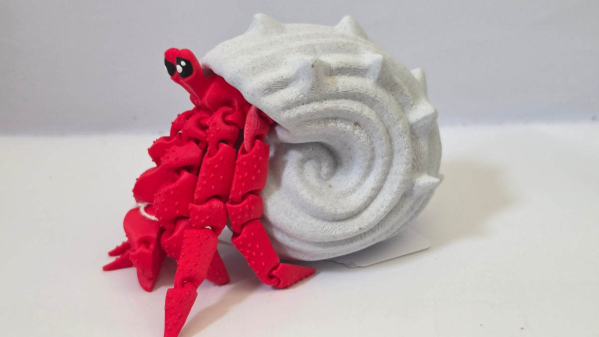 Red hermit crab