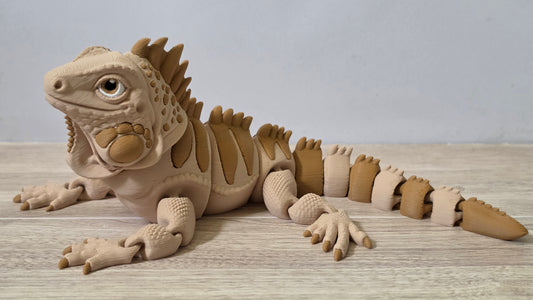 Iguana