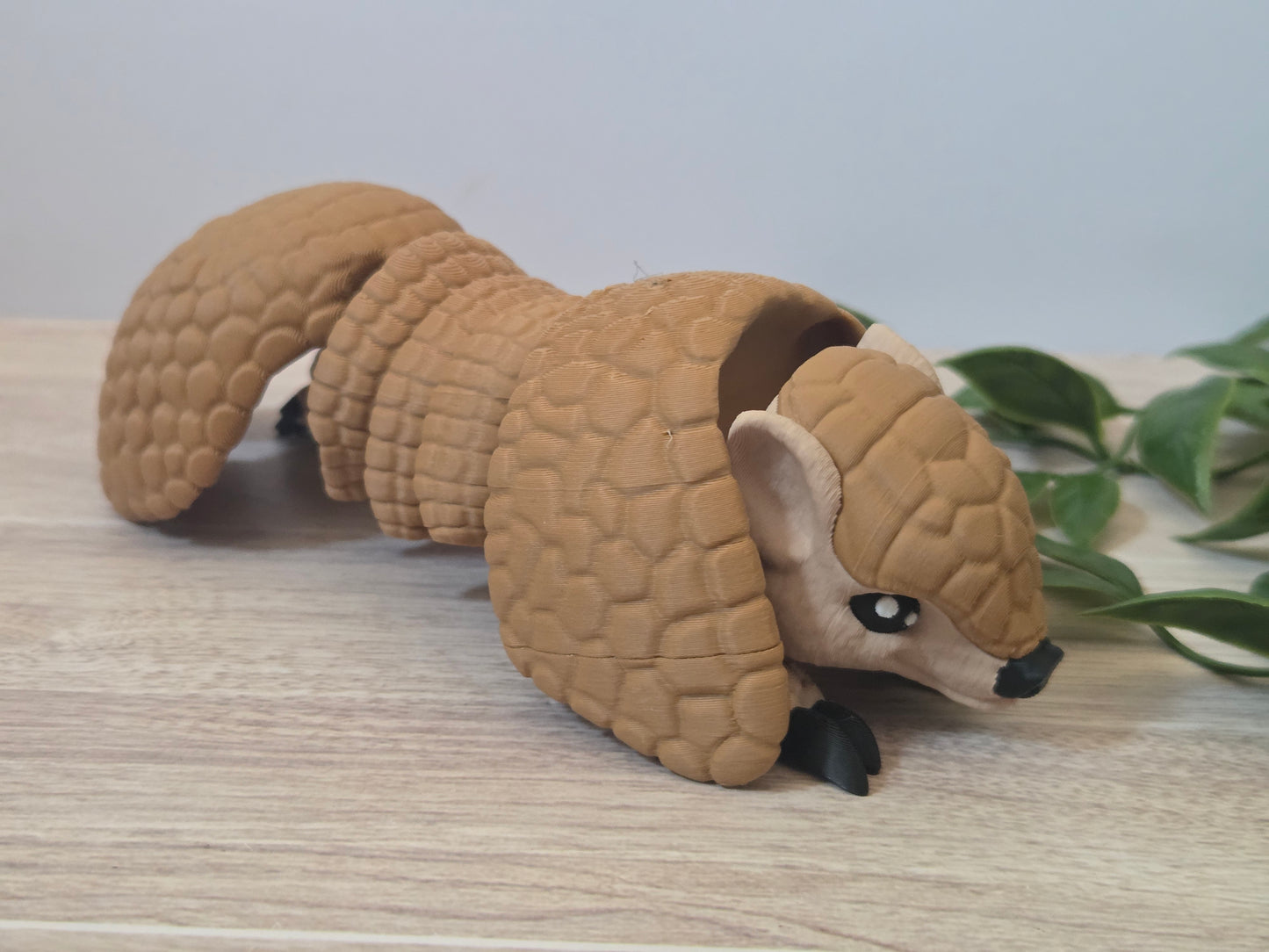 Armadillo