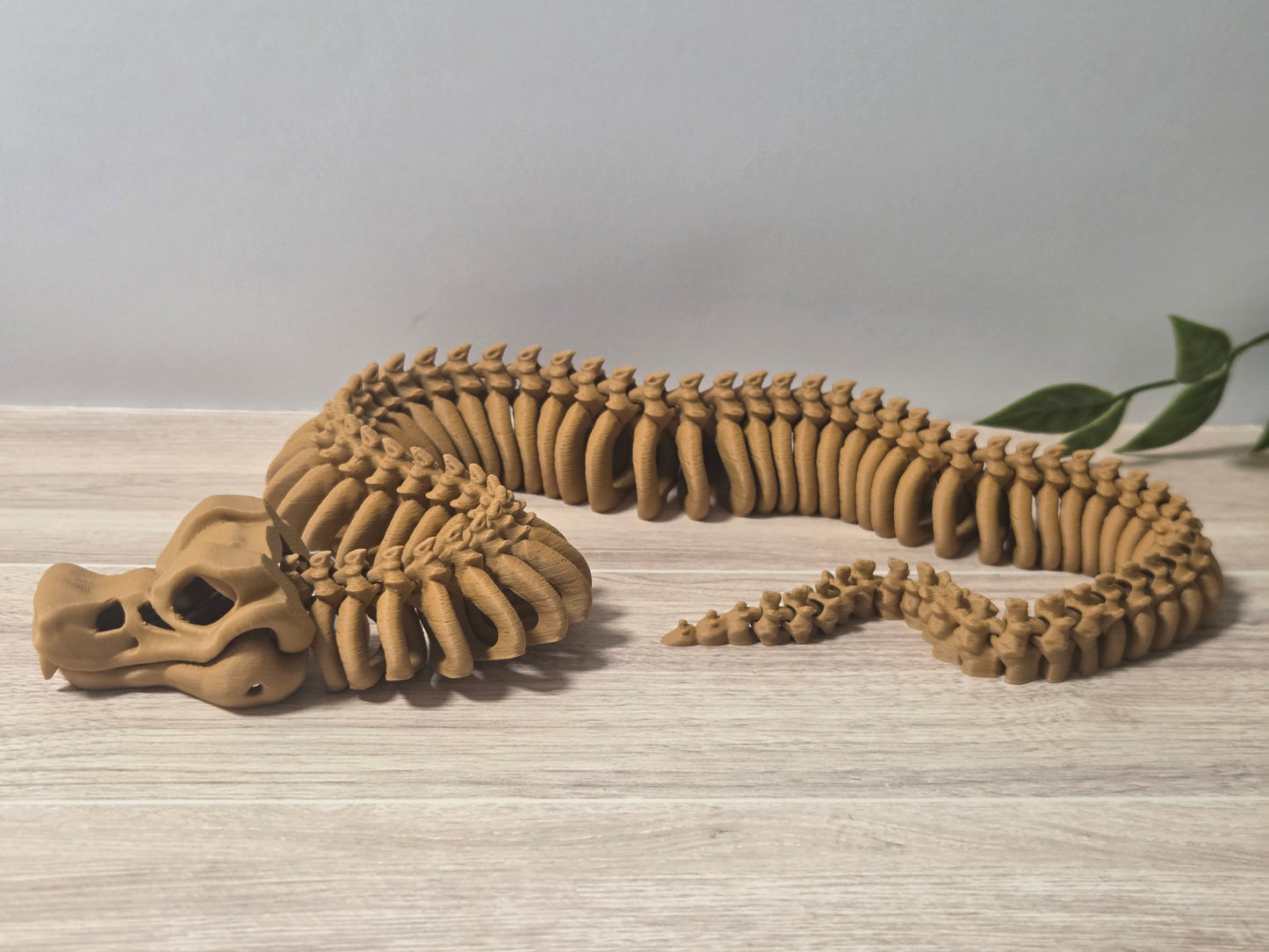 Tan snake skelly