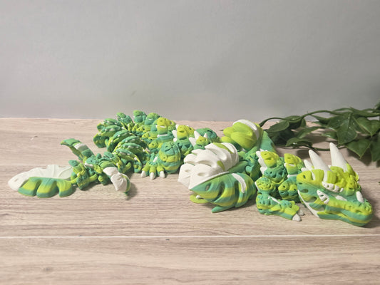 Light green monstera dragon